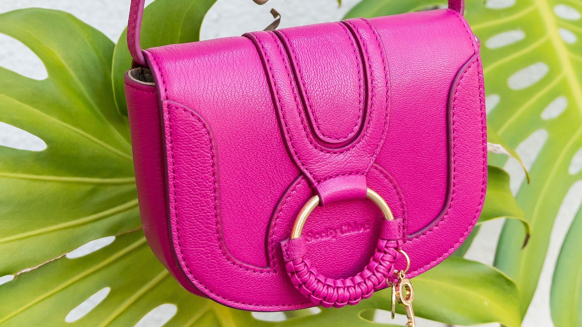 In The Bag | New See By Chloé