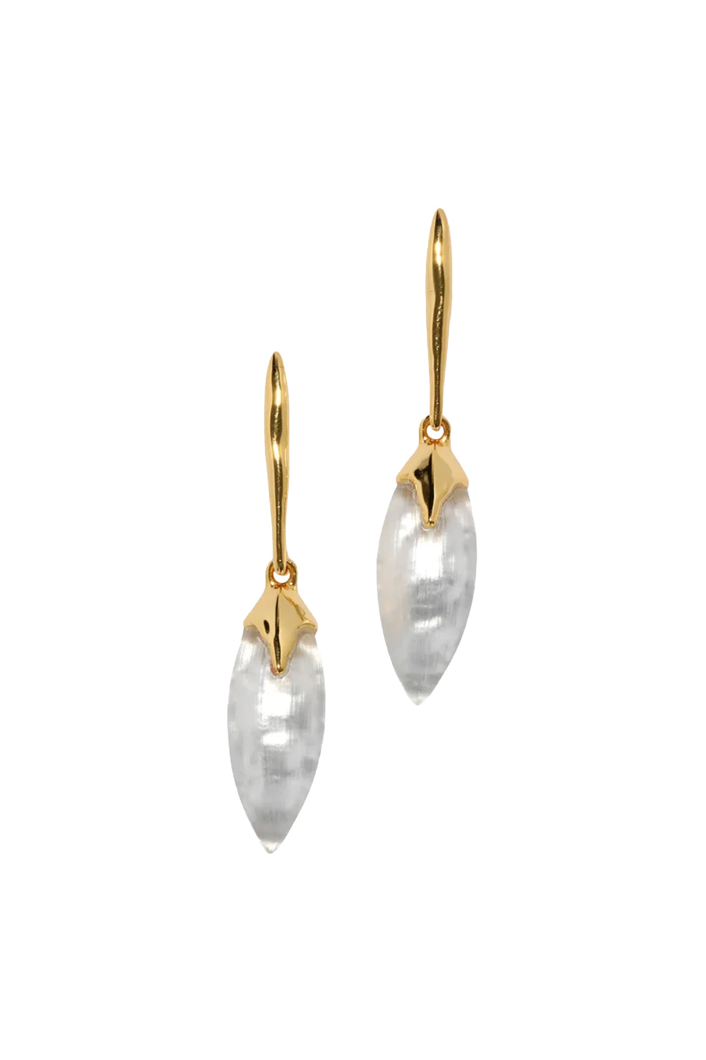 Luminous Lucite Shield Drop Earring