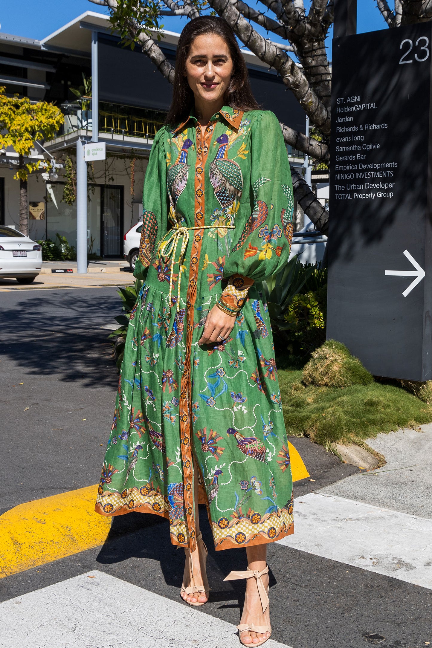 Birdie Shirtdress