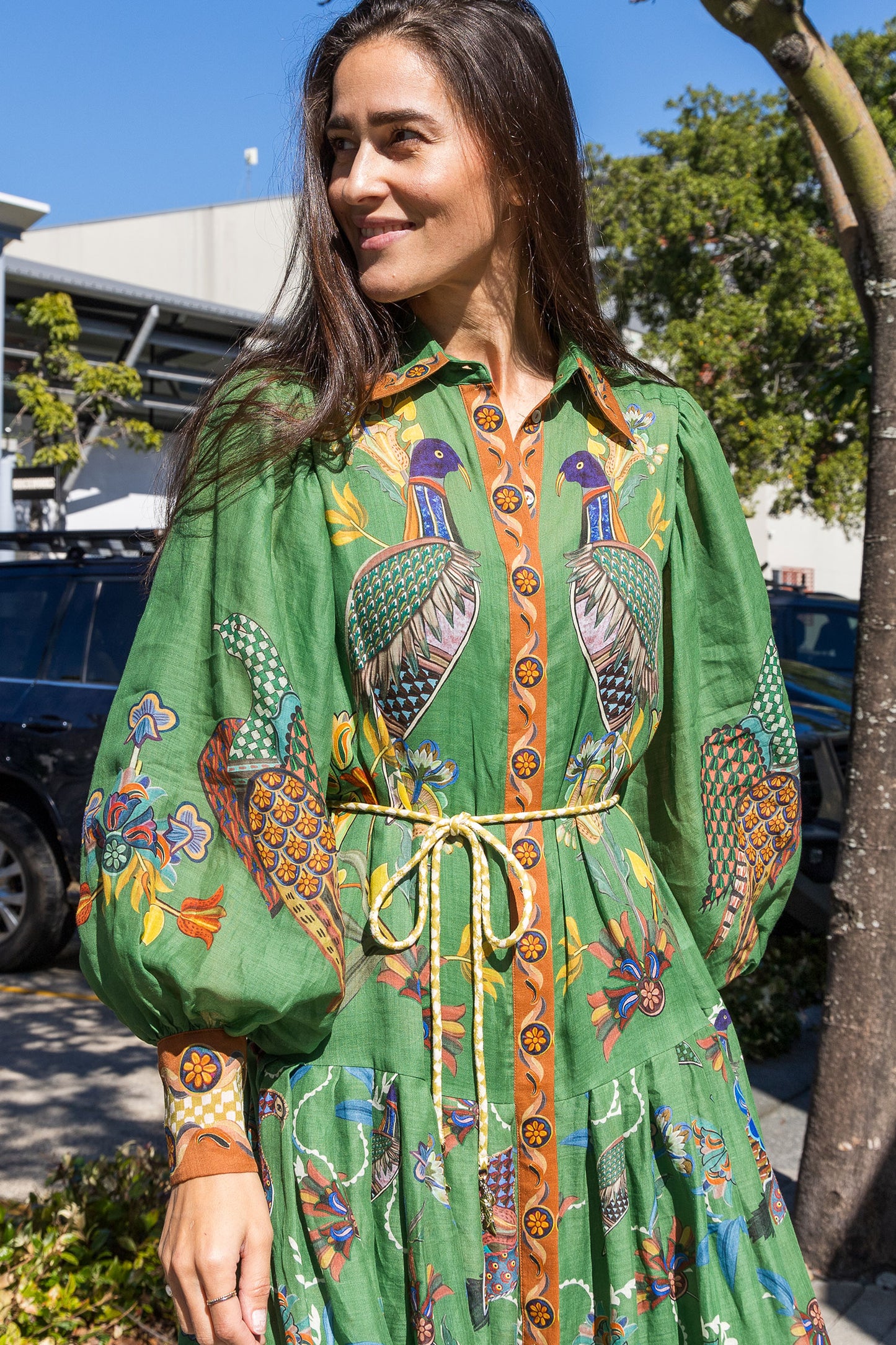 Birdie Shirtdress