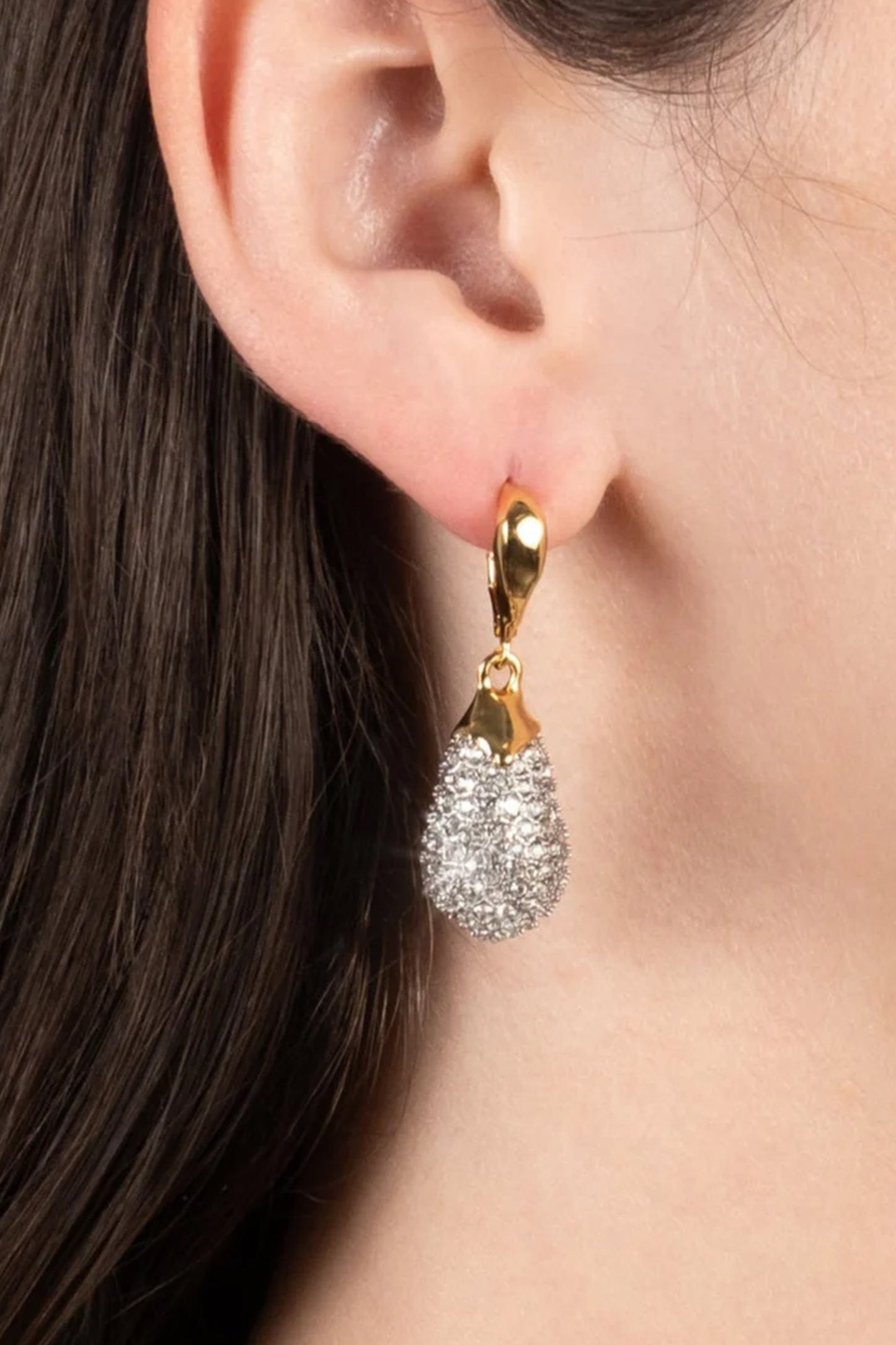 Solanales Crystal Teardrop Earring