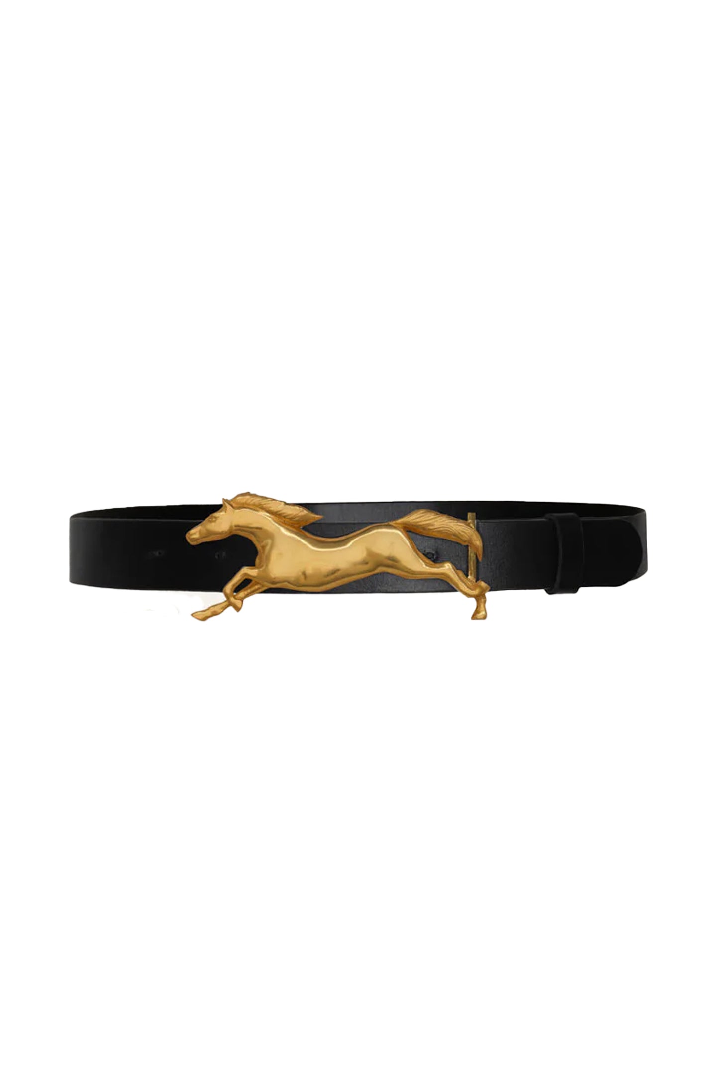 Iconic Imagery Belt