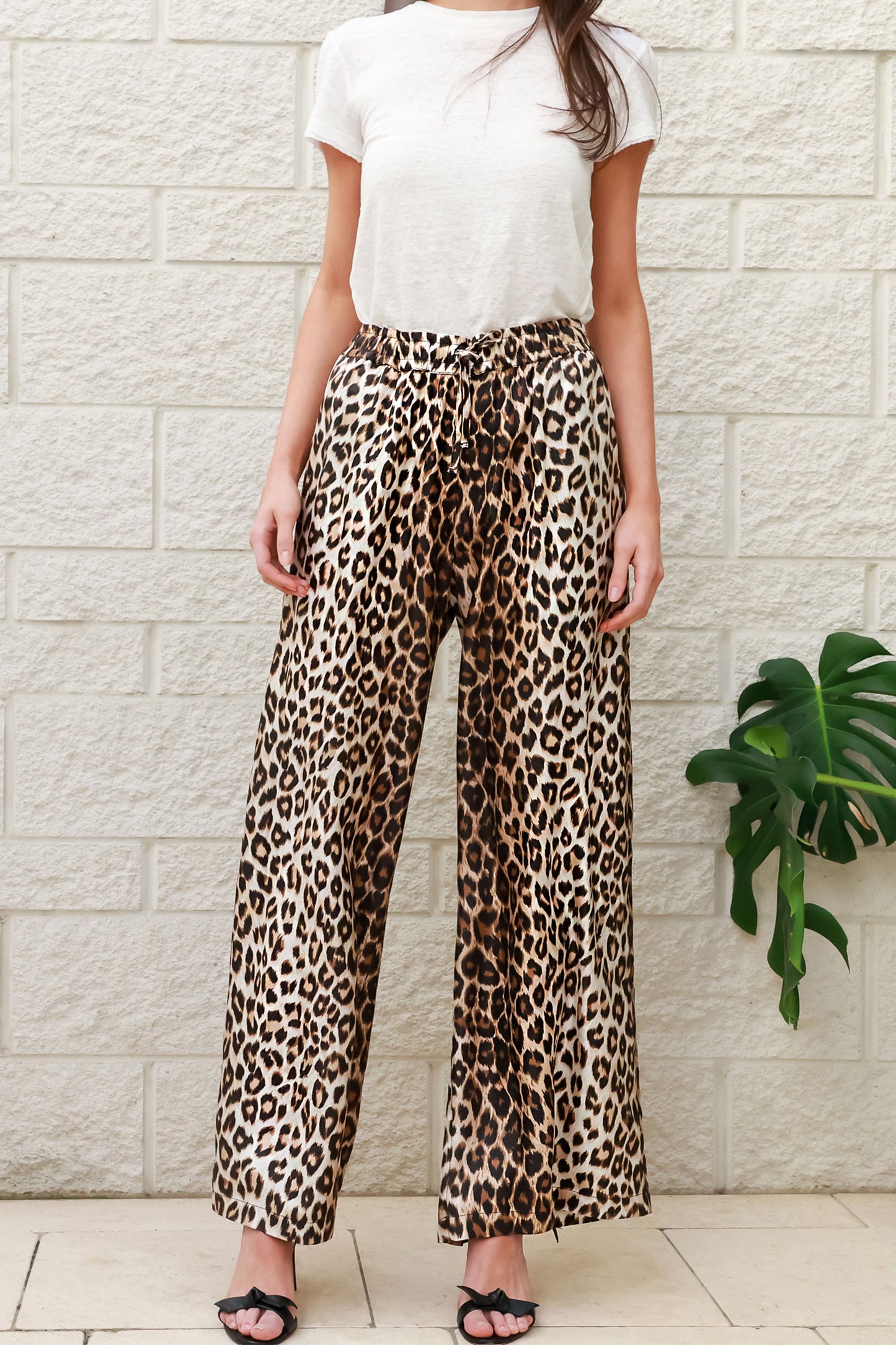 Skateur Pant