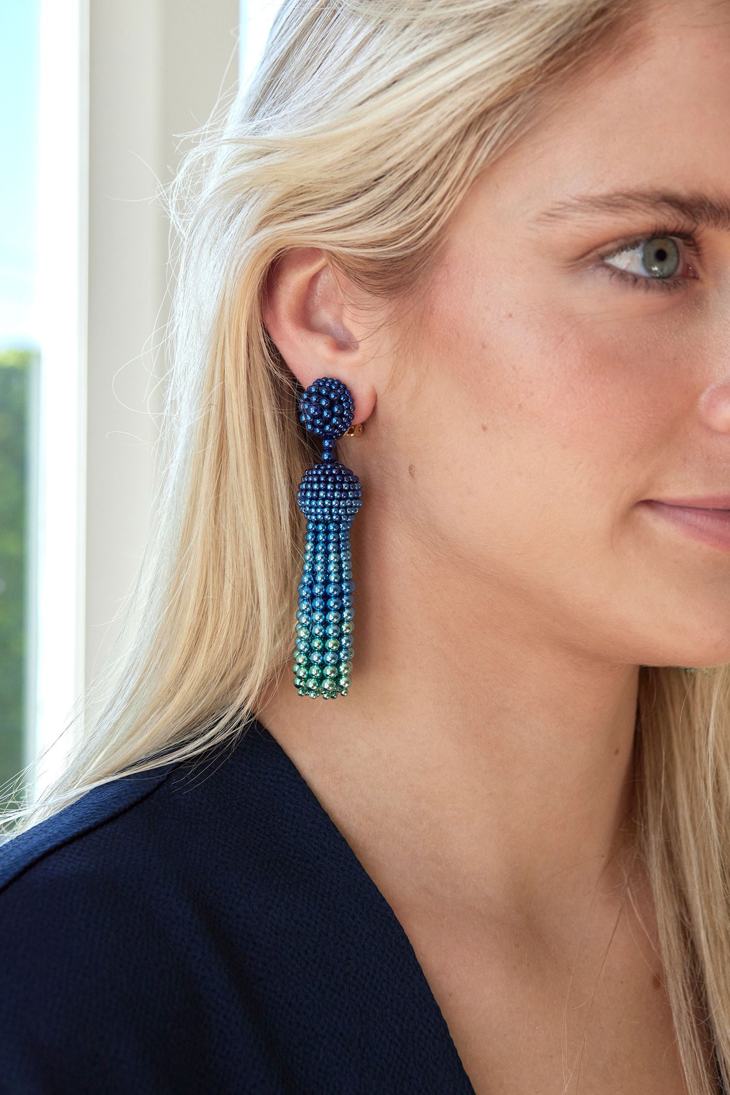 Degrade Tassel Earring