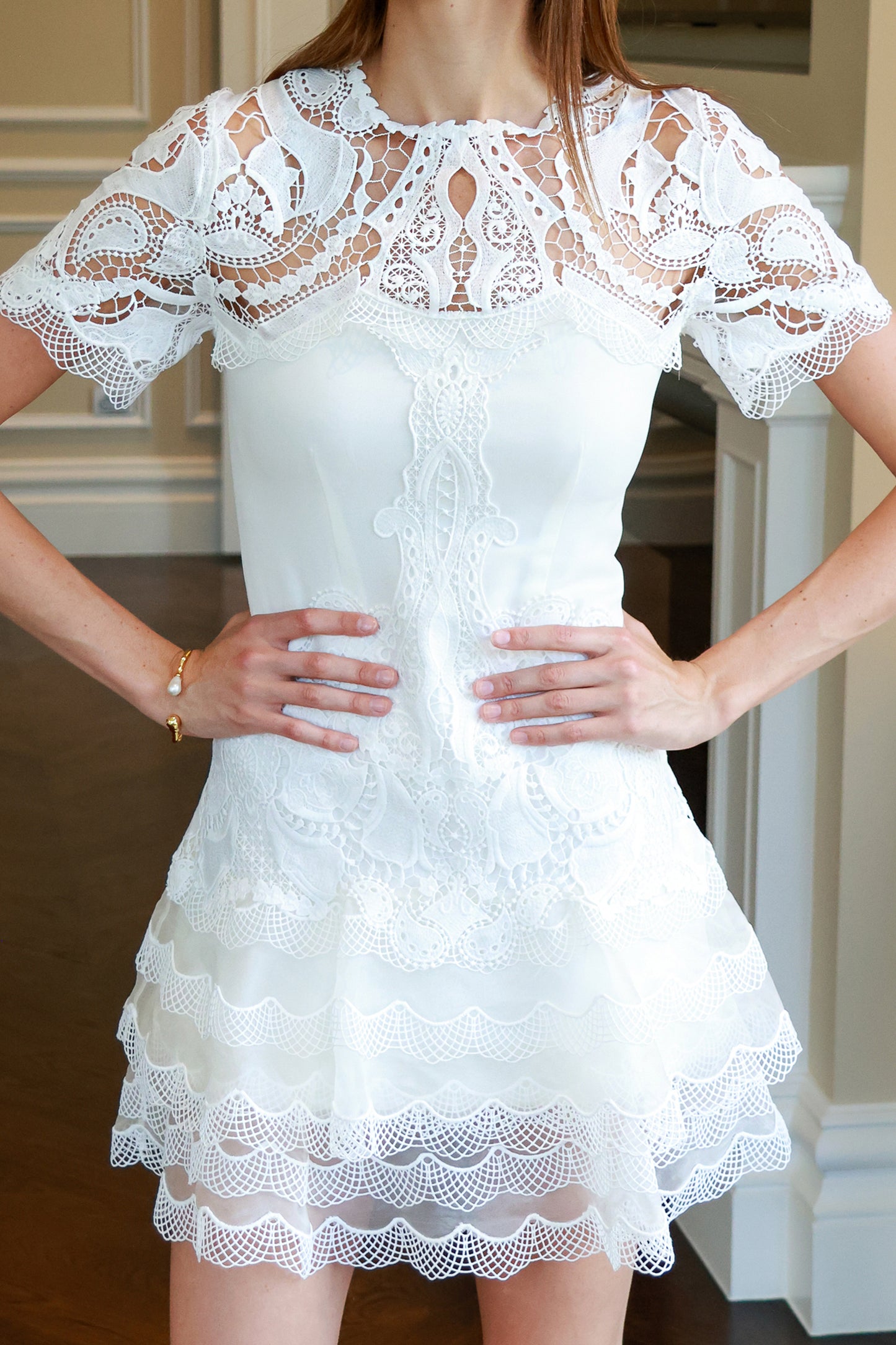 Paislee Guipure Lace Mini Dress