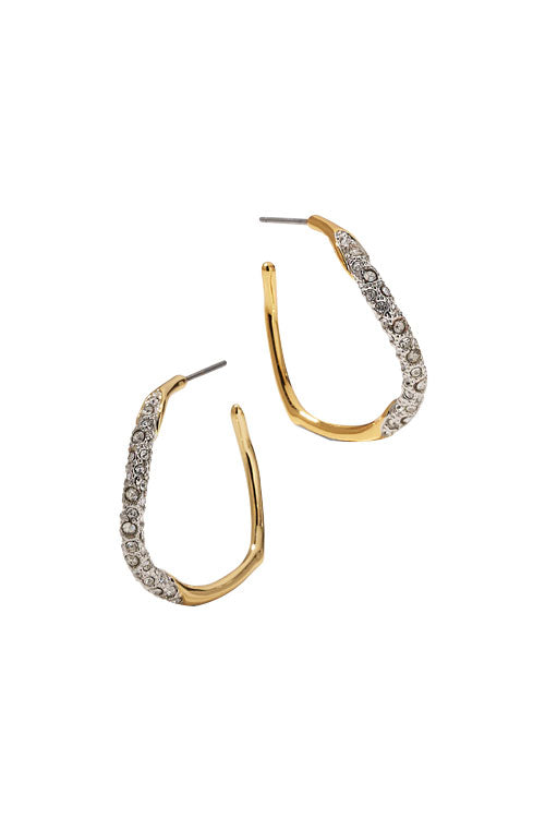 Medium Pave Hoop Earring