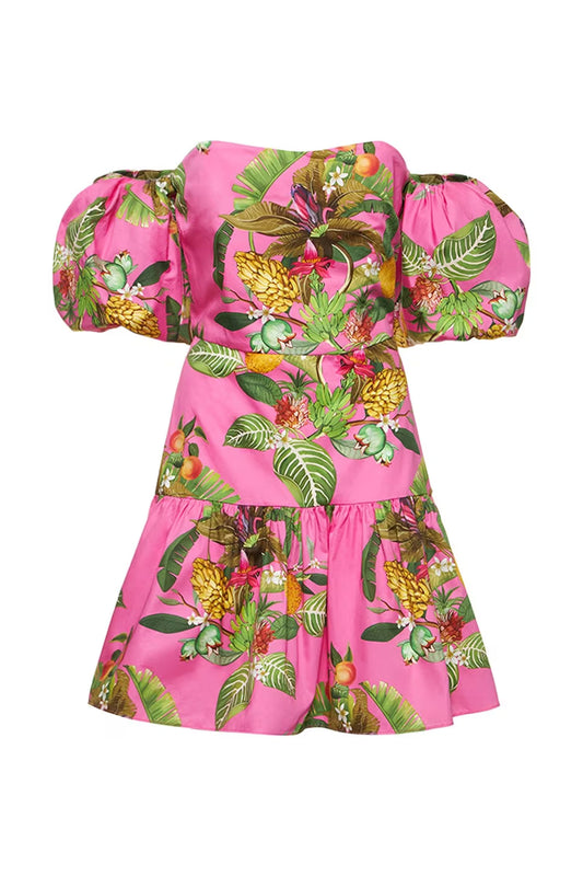 Ziggy Mini Dress - FINAL SALE