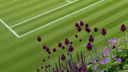 Get the Look - Wimbledon Edition