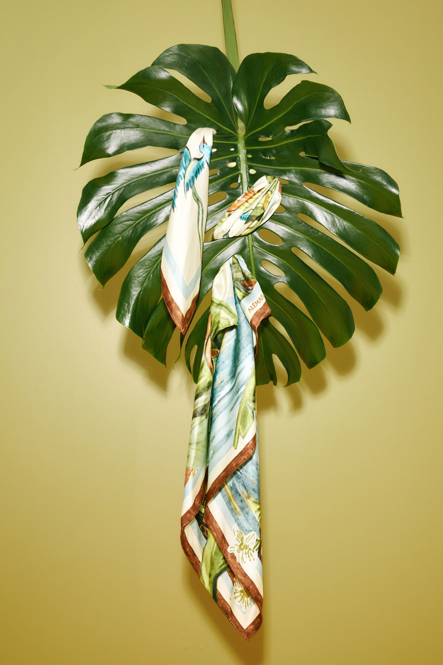 Toucan Tango Silk Scarf