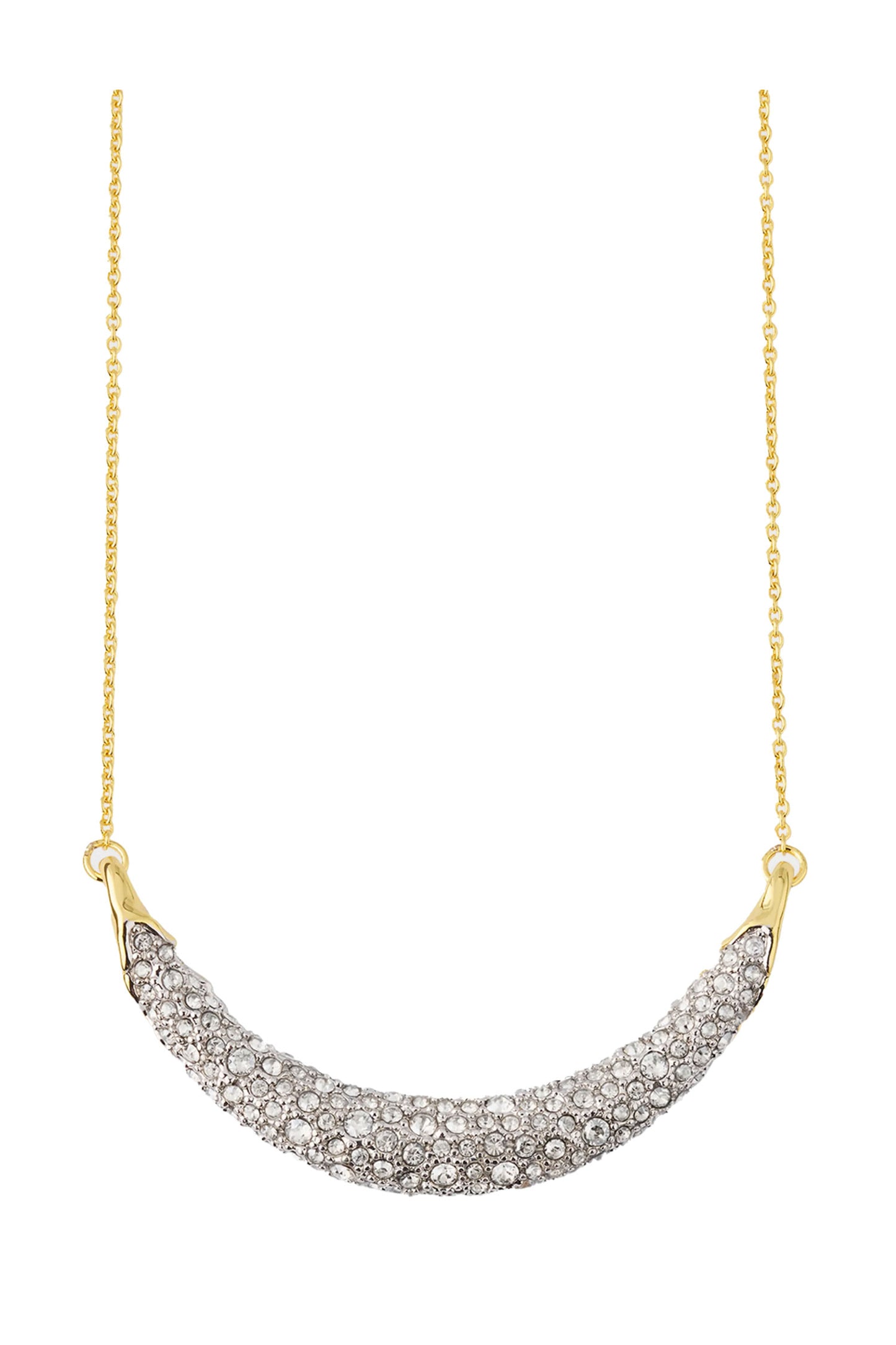 Solanales Crystal Necklace