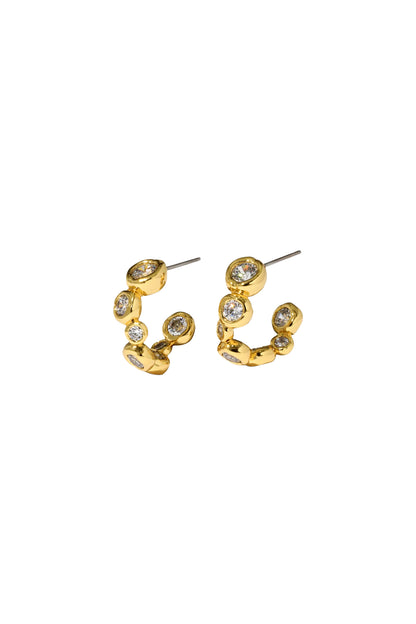 Asterales Small Hoop Earrings
