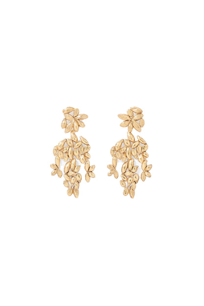 Difenda Earrings