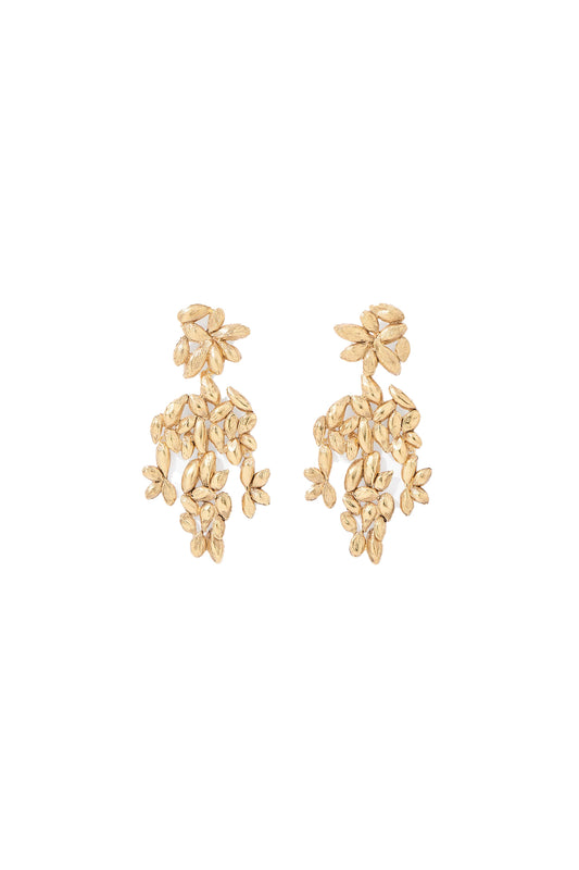 Difenda Earrings