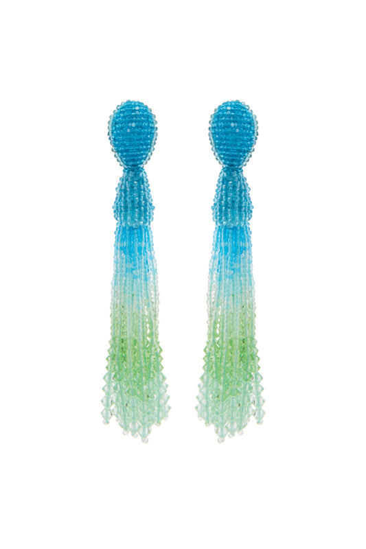 Beaded Ombre Tassel Earring