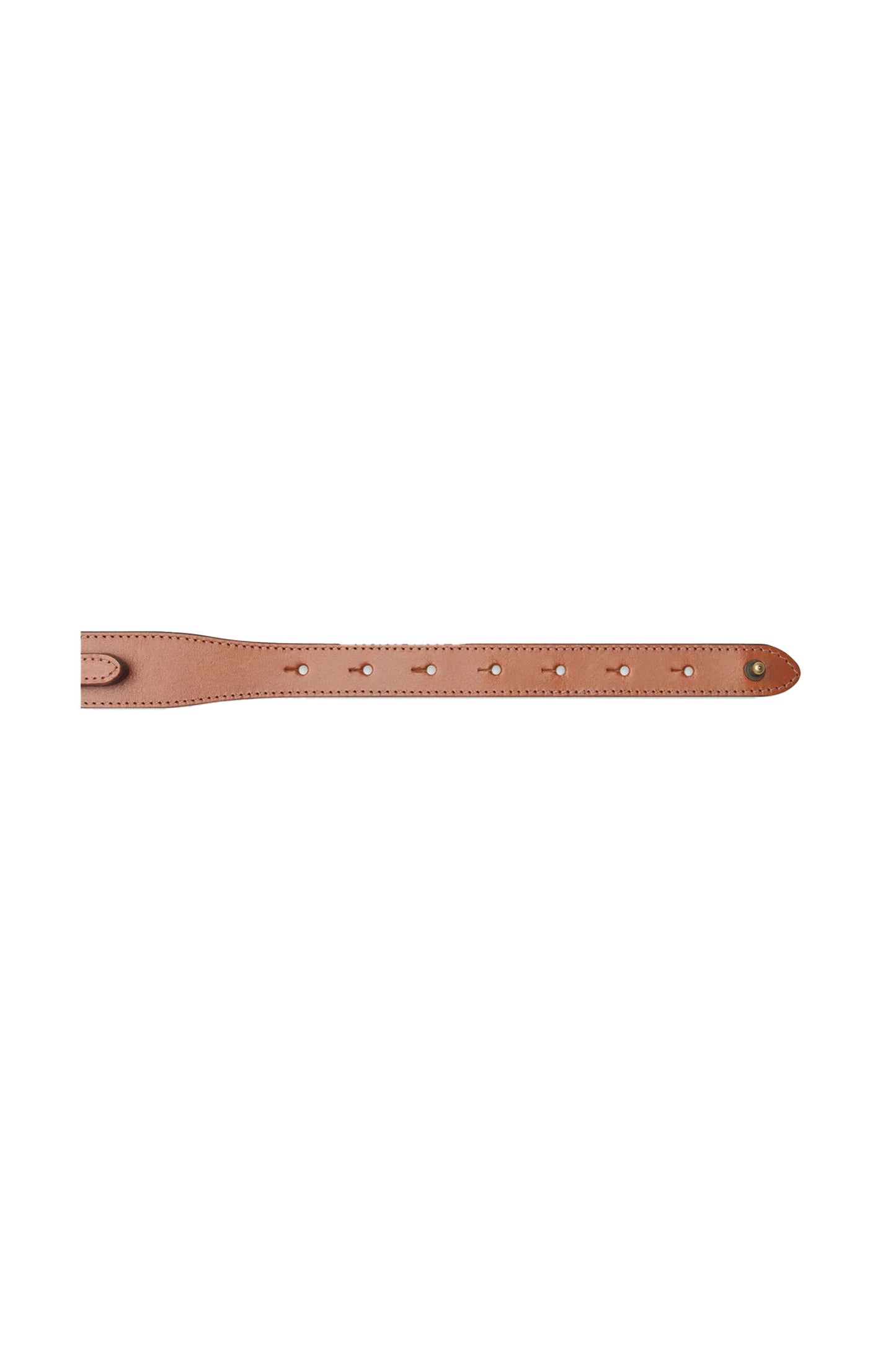 Equestrian Belt