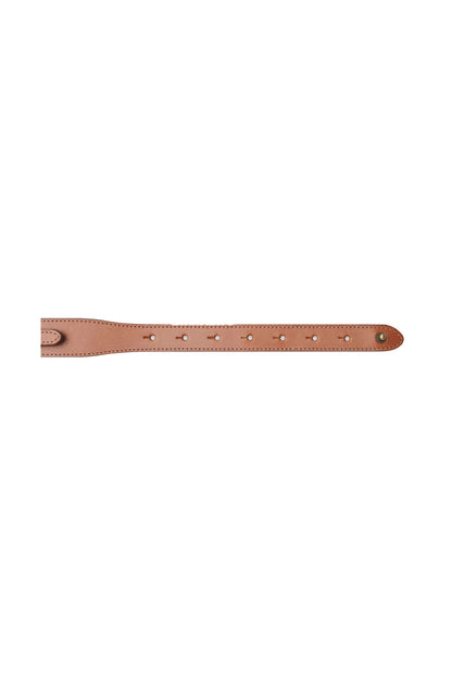 Equestrian Belt