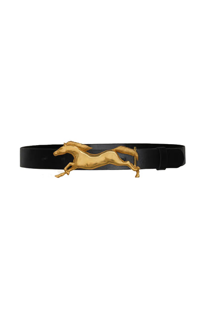 Iconic Imagery Belt