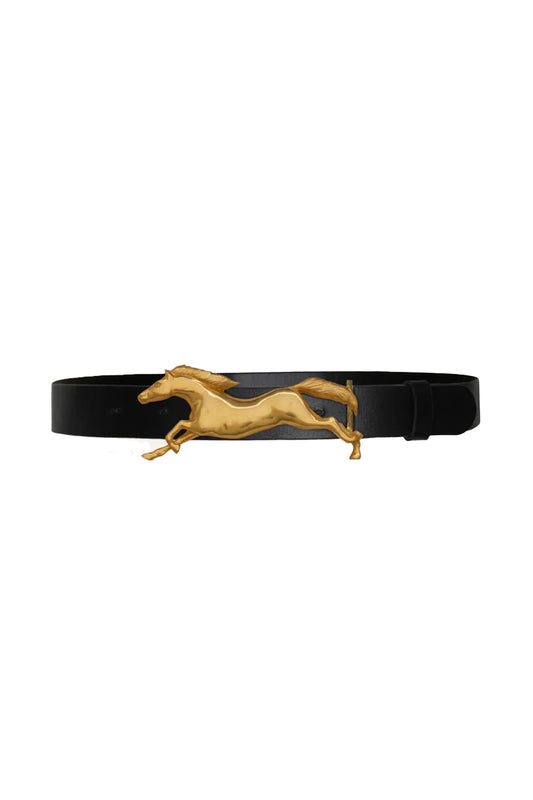 Iconic Imagery Belt