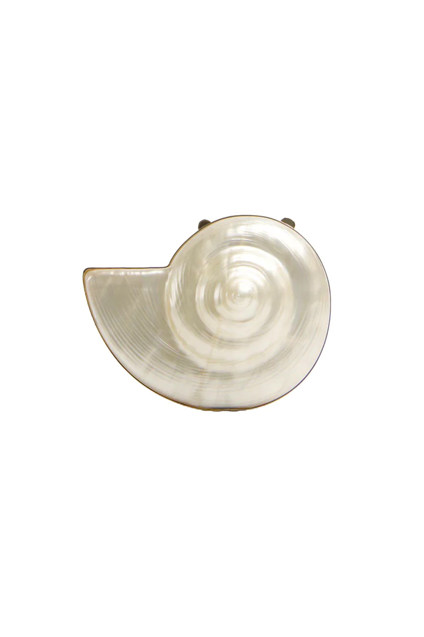 Marion Shell Clutch