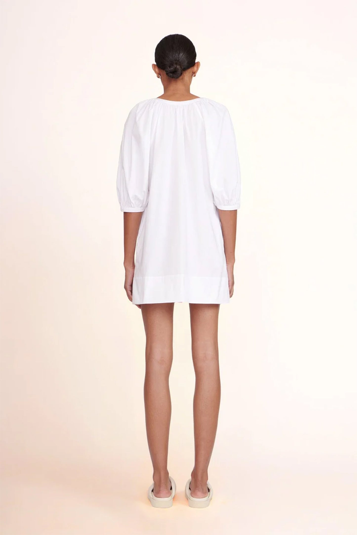 Vincent Mini Dress
