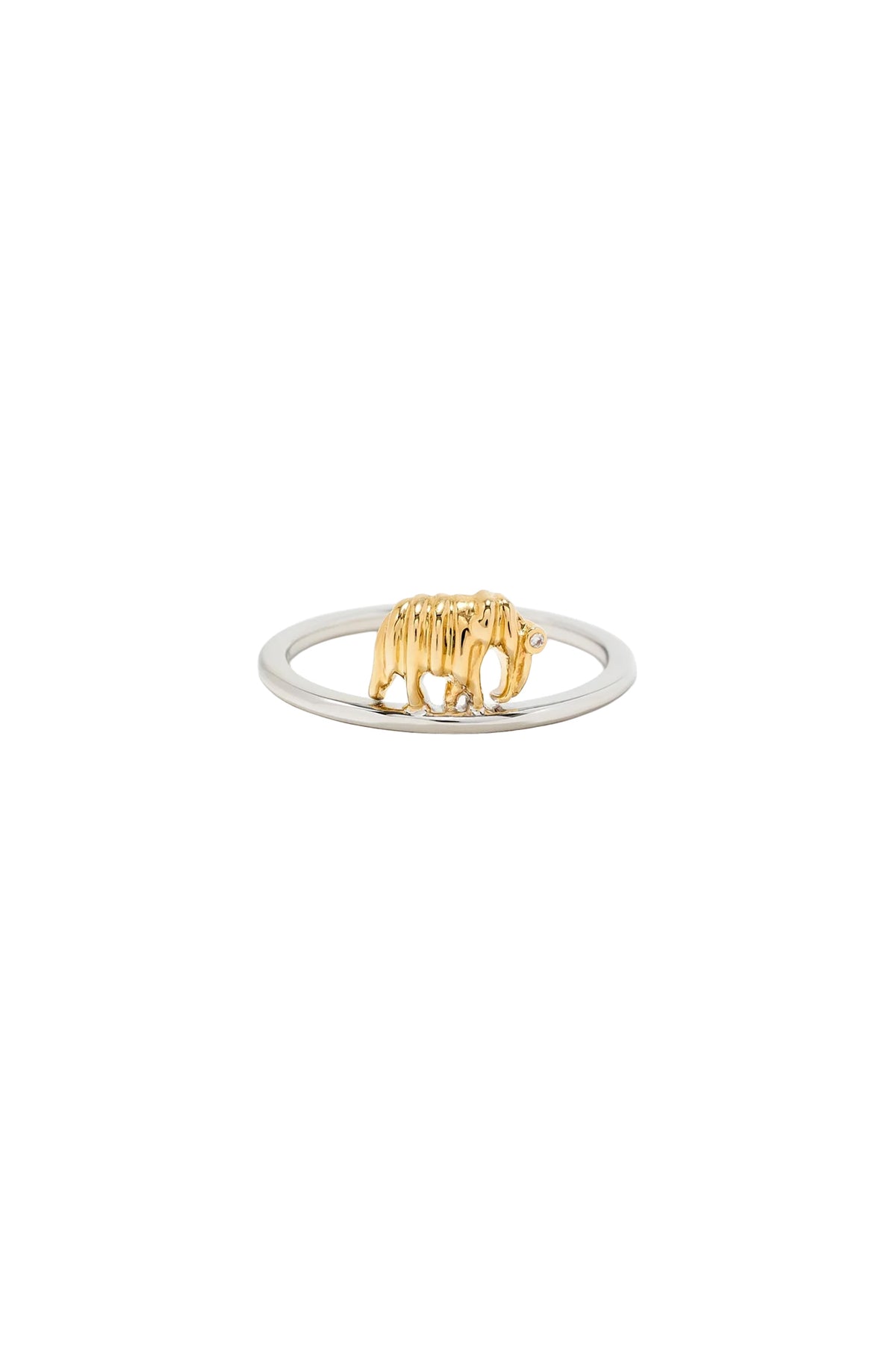 Nano Elephant Ring