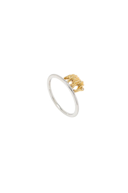 Nano Elephant Ring