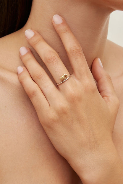 Nano Elephant Ring